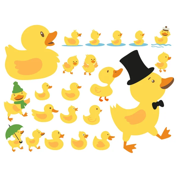 Şirin Ördek Vektörü Ayarları