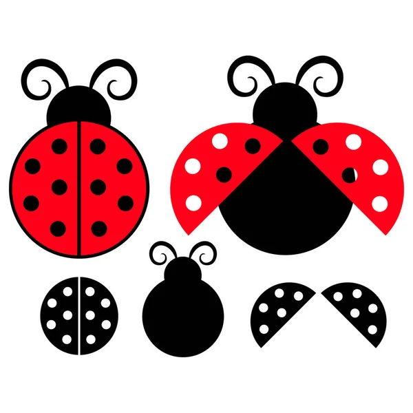 Vektör Ayarının Uğurböceği Uçuşu