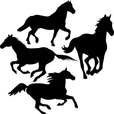 Hayvani Kesiklerin At Vektörü