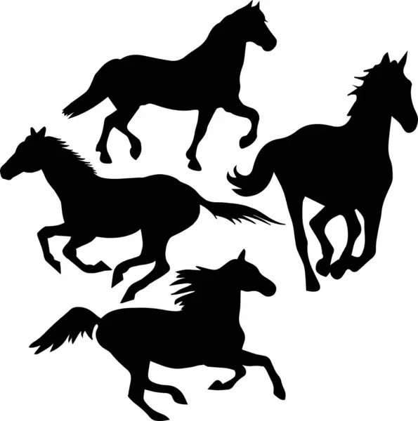 Hayvani Kesiklerin At Vektörü