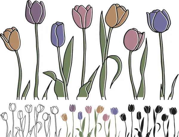 Lale Çiçeği Bahar Çiçeği Lale Vektörü