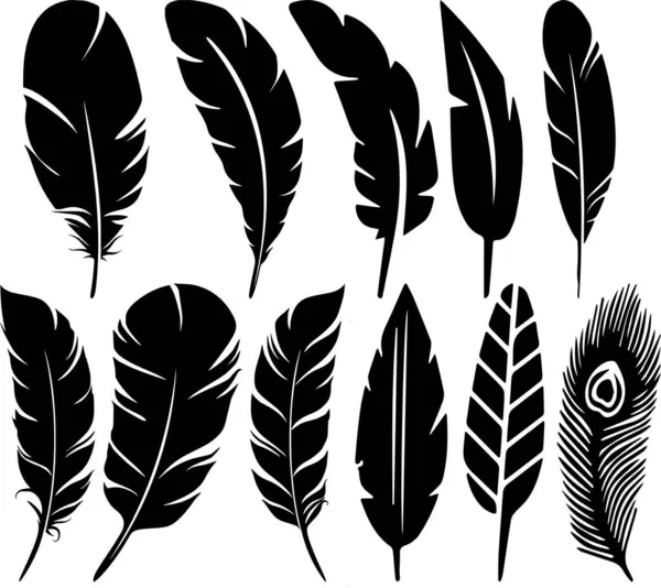 Vektör Koleksiyonu Özellikleri