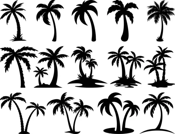 Palmiye ağacı çizimi