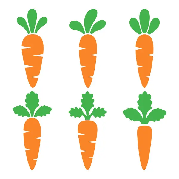 Havuç Sebze Tazeliği Vektörü Seti