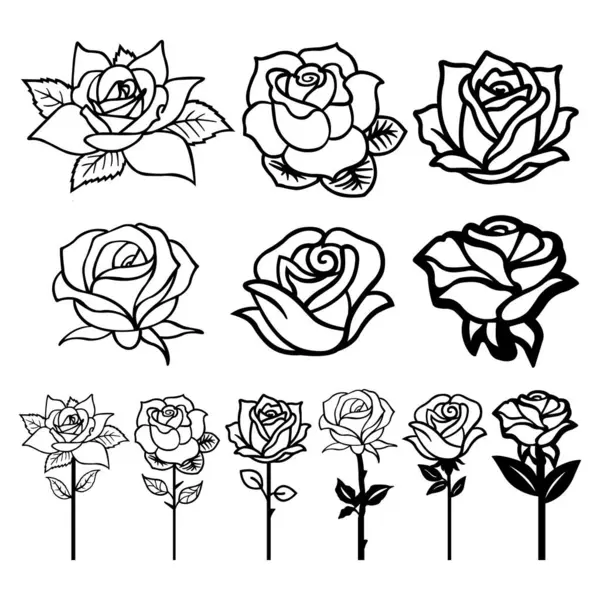 Gül Çiçeği Vektörü Çiçek Vektörü Tasarımı