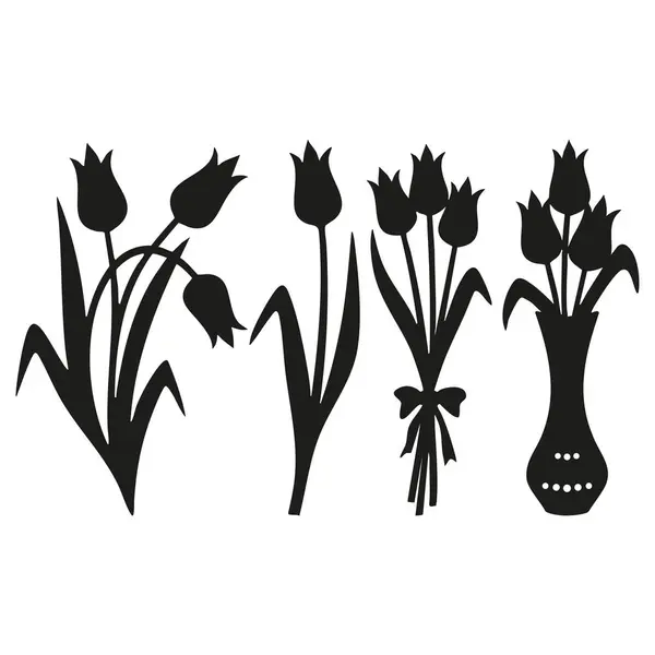 Lale Çiçeği Vektör Kümesi - Doğal Çiçek İllüstrasyonu