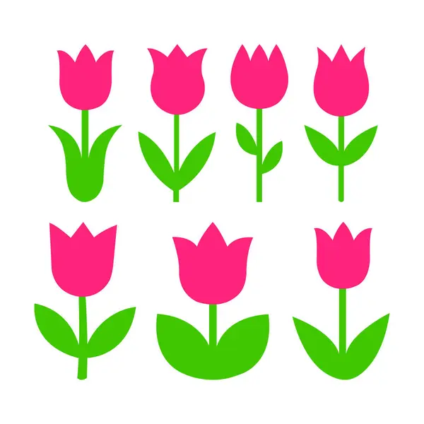 Lale Çiçeği Vektör Kümesi - Doğal Çiçek İllüstrasyonu