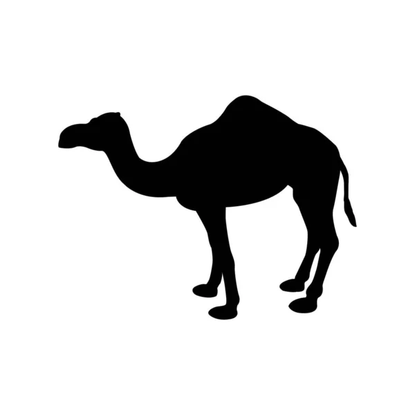 Camel Vector Icon Camel Silhouette Design — Stock Vector