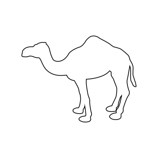 Kamel Vektor Ikon Kamel Silhuett Design — Stock vektor