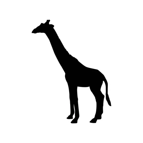 Giraffe Vector Icon Giraffe Silhouette Design — Stock Vector