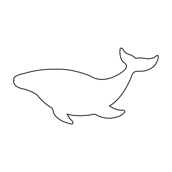 鲸鱼矢量图标 鲸鱼轮廓设计 — 图库矢量图片