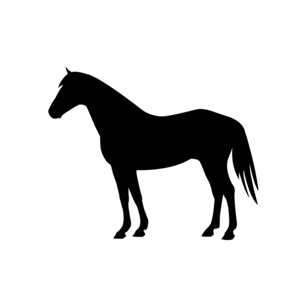 Άλογο Διάνυσμα Εικονίδιο Άλογο Σχέδιο Σιλουέτα — Διανυσματικό Αρχείο