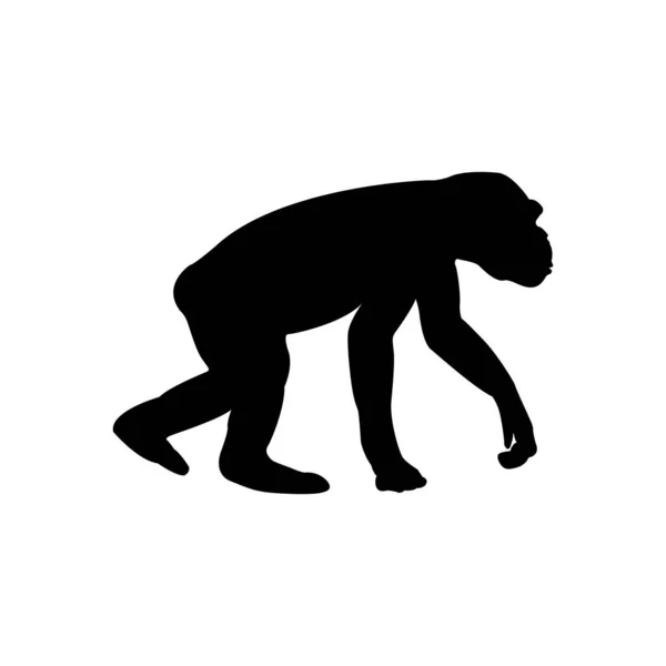 Icona Vettoriale Scimmia Design Silhouette Scimmia — Vettoriale Stock