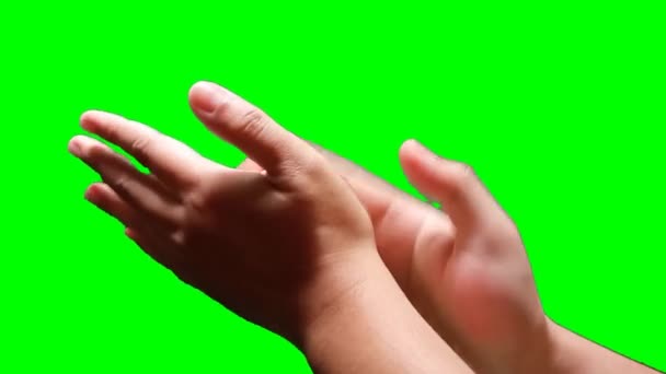 Χέρι Ενός Άνδρα Που Χειροκροτεί Φόντο Πράσινης Οθόνης — Αρχείο Βίντεο