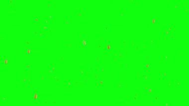 Yeşil ekran arkaplanına düşen yapraklar