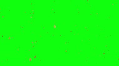 Yeşil ekran arkaplanına düşen yapraklar