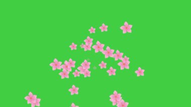 Yeşil arka planda pembe çiçekler