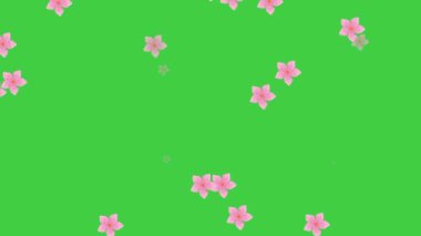 Yeşil arka planda pembe çiçekler