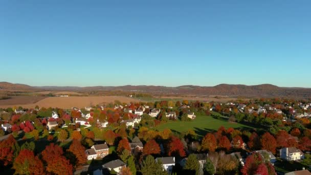 Zdjęcie Lotu Ptaka Przedmieścia Domami Kolorowymi Drzewami Jesienią Dron Poruszający — Wideo stockowe