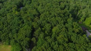 Aerial video of beautiful foliate forest and green trees captured by a drone camera top view