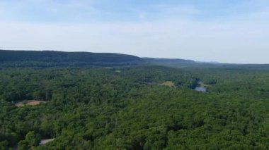 Aerial video of beautiful foliate forest and green trees captured by a drone camera top view