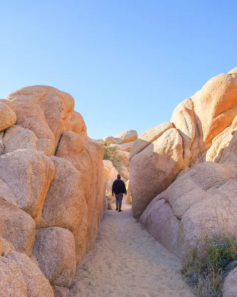 Человек Путешествует Между Камнями Национальном Парке Джошуа Три Калифорния — стоковое фото