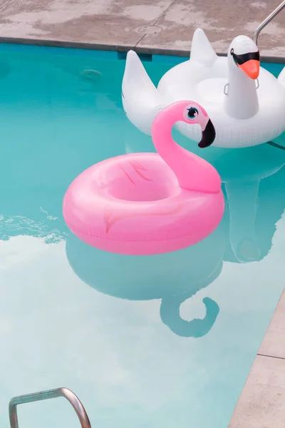 加州棕榈泉游泳池中的粉色火烈鸟和天鹅游泳池 — 图库照片