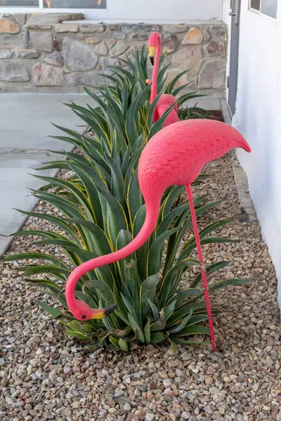 Plastikowe Różowe Flamingi Trawnikowe Stoczni Żwirem Roślinami Palm Springs Kalifornia — Zdjęcie stockowe