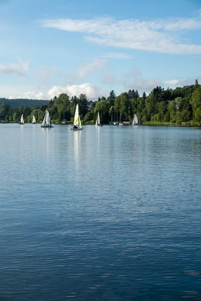 Washington Gölü 'ndeki yelkenliler Renton, Washington