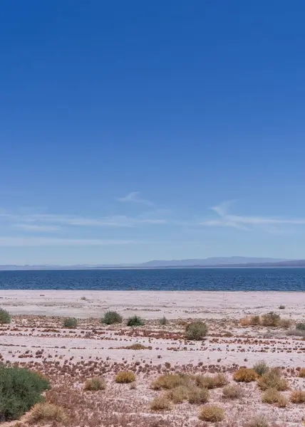 Widok Plażę Salton Sea Błękitnym Niebem Wodą Mekce Kalifornia — Zdjęcie stockowe