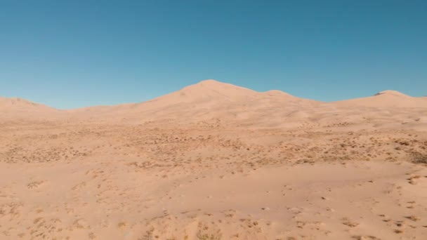 莫哈韦国家保护区沙漠凯尔索沙丘的无人驾驶飞机镜头向后移动 加州凯尔索 — 图库视频影像