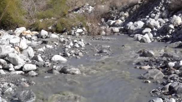 Whitewater Nehrinden Akan Whitewater Koruma Alanında Whitewater California Riverside County — Stok video