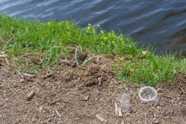 Atılan monofilament olta ipinin yakın çekimi dinlenme alanındaki suyun kenarındaki çöpler. Kopyalama alanı.