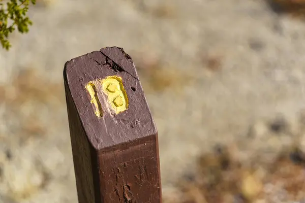 Trail Mile Marker Number Eighteen (18) carved on a wooden post and painted yellow