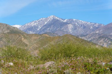 Kaliforniya, Çöl Kaplıcaları 'ndaki Mission Creek Konservesi' nden San Gorgonio Dağı 'na kar manzarası