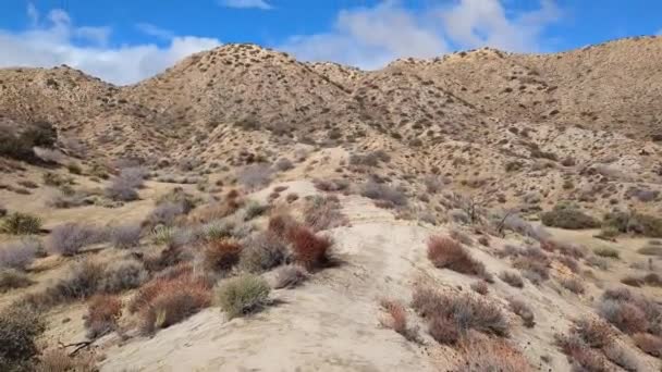 Πεζοπορία Στο Σημείο Της Ερήμου Πρώτου Προσώπου Αργή Κίνηση — Αρχείο Βίντεο