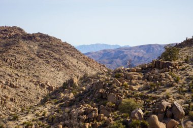 Joshua Tree Ulusal Parkı 'ndaki çöl manzarası ve Çöl Kraliçesi Madeni yakınlarındaki çöl manzarası.