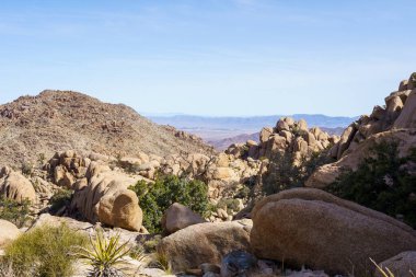 Scenic view of boulders, cactus, and mountains from Eagle Cliff Mine cabin at Joshua Tree National Park, California clipart