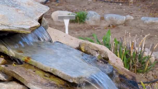 Annas Kolibri Weibchen Badet Wasserbrunnen — Stockvideo