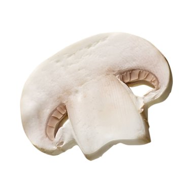 Beyaz arka planda beyaz şampiyon mantar dilimi