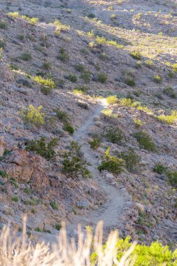 Yürüyüş yolu çöl dağlarında güneş ışığıyla dönüyor.