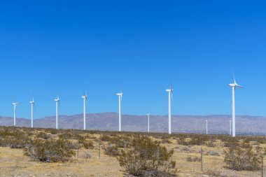 Koyu mavi suyu olan sakin bir göl kısmen su bitkileriyle kaplıdır. Uzak kıyı açık mavi bir gökyüzünün altında kozalaklı ağaçlarla kaplı. Sahne fotokopi alanı ile huzurlu. Palm Springs, Kaliforniya.