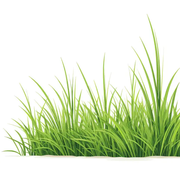 stock vector Grass vector for your design