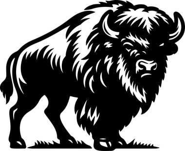 Majestic Bison Siyah-Beyaz Görüntü Vahşi Hayvan Sanatı