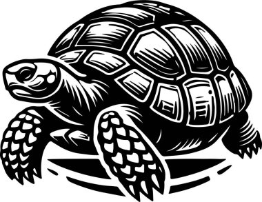 Black and white tortoise illustration strong lines shell wildlife nature clipart