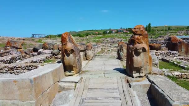 Oude Alacahoyuk Sfinxen Sculpturen — Stockvideo