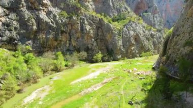bir nehir bir kanyon