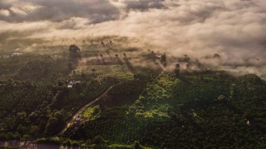 Sabahları dağların havadan görünüşü