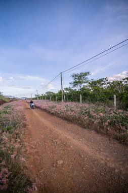 karayolu ile alanlar