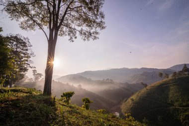 Sabah güneşinde yeşil çimlerle dağda güzel bir gün doğumu, Tayland